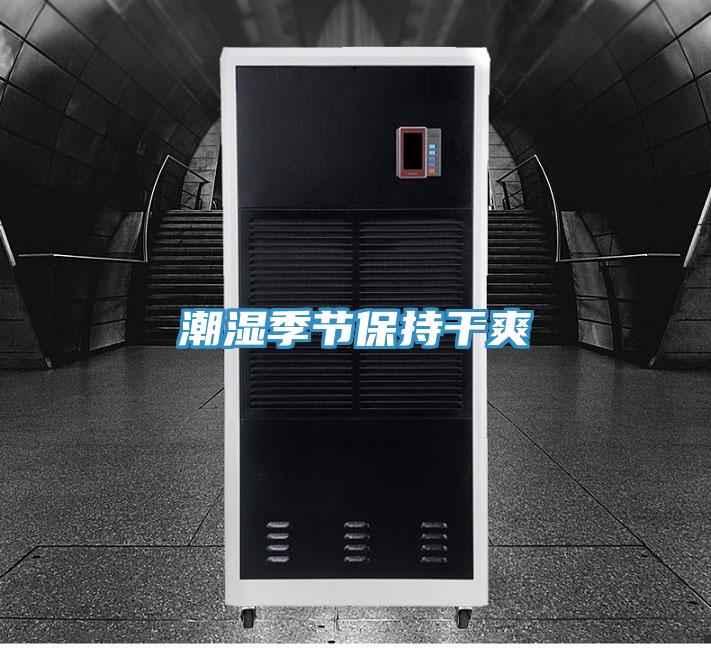 潮湿季节保持干爽