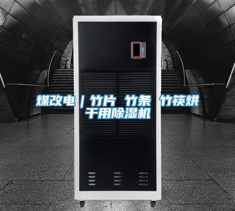 煤改电｜竹片 竹条 竹筷烘干用除湿机