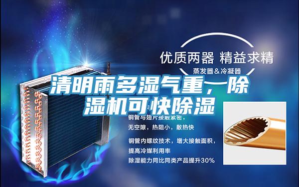 清明雨多湿气重，除湿机可快除湿