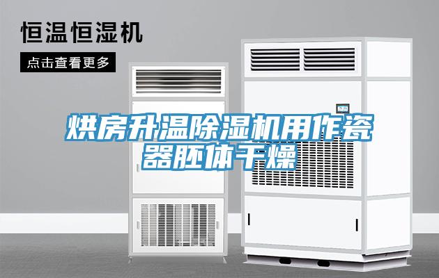 烘房升温除湿机用作瓷器胚体干燥