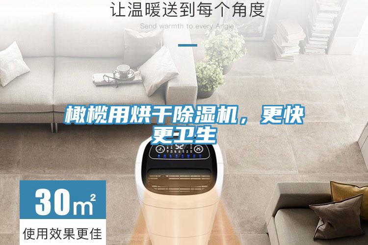 橄榄用烘干除湿机，更快更卫生