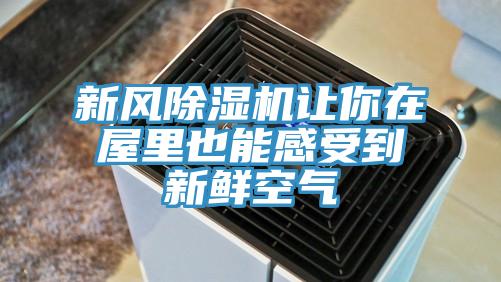 新风除湿机让你在屋里也能感受到新鲜空气
