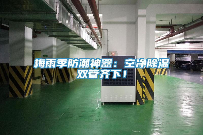 梅雨季防潮神器：空净除湿双管齐下！