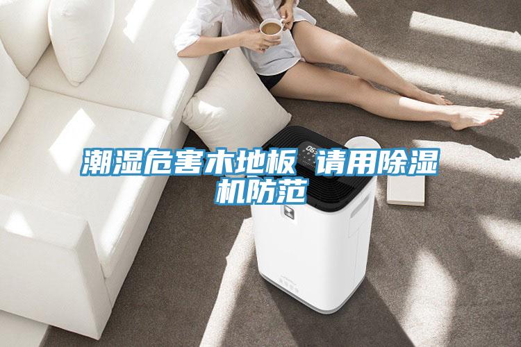 潮湿危害木地板 请用除湿机防范