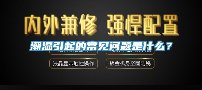 潮湿引起的常见问题是什么？