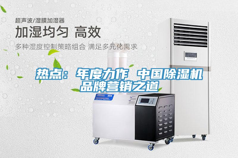 热点：年度力作 中国除湿机品牌营销之道