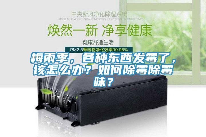 梅雨季，各种东西发霉了，该怎么办？如何除霉除霉味？