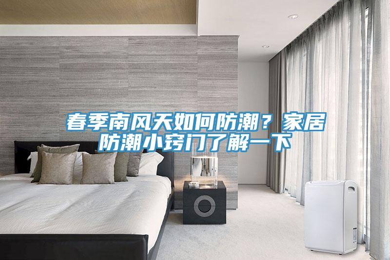 春季南风天如何防潮？家居防潮小窍门了解一下