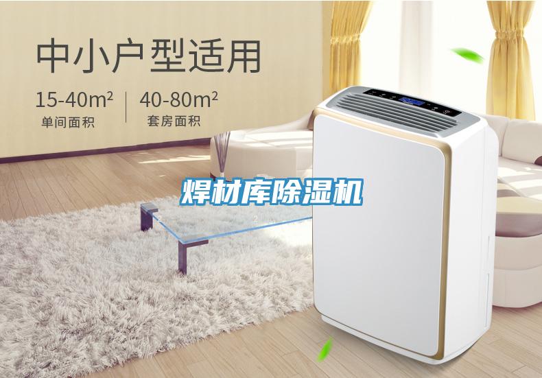 焊材库除湿机
