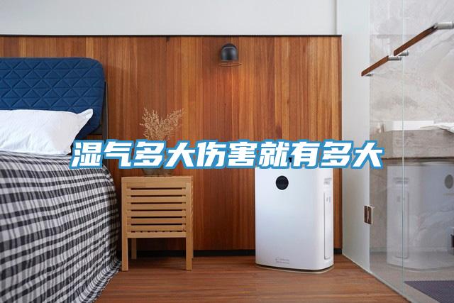 湿气多大伤害就有多大