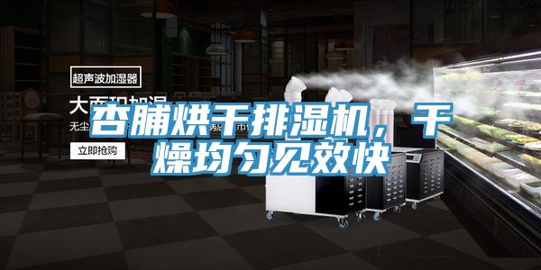 杏脯烘干排湿机，干燥均匀见效快
