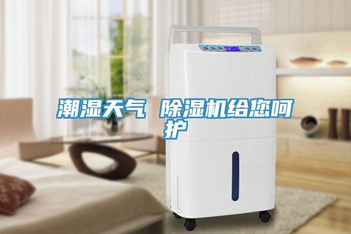 潮湿天气 除湿机给您呵护