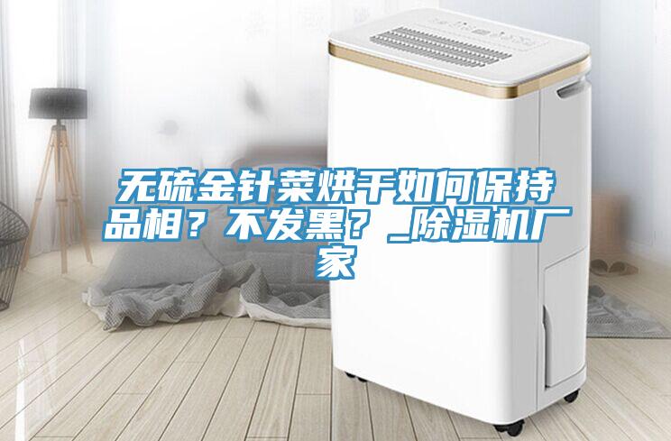 无硫金针菜烘干如何保持品相？不发黑？_除湿机厂家