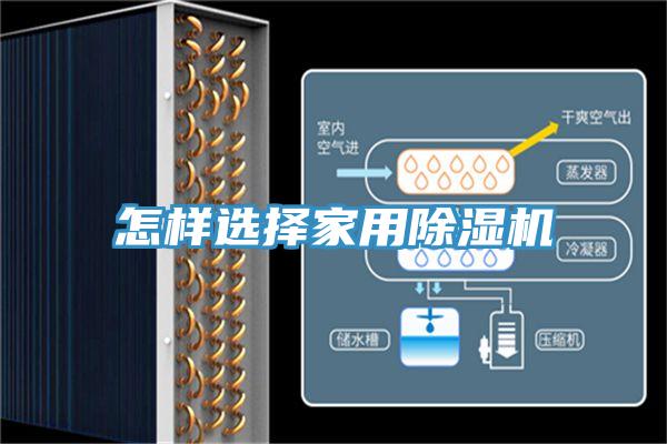 怎样选择家用除湿机