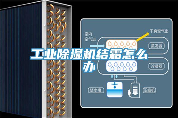 工业除湿机结霜怎么办