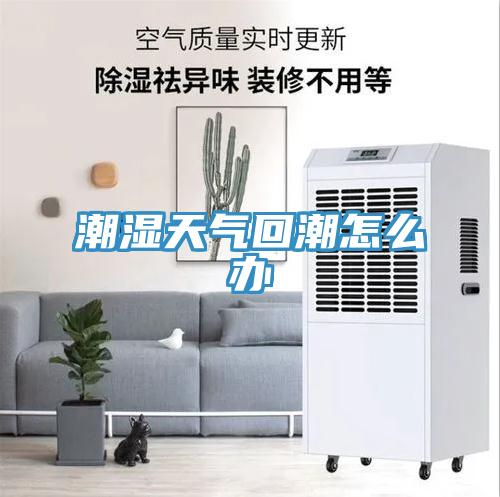 潮湿天气回潮怎么办