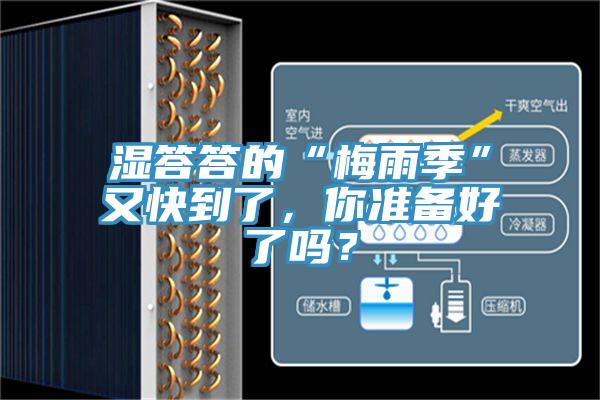 湿答答的“梅雨季”又快到了，你准备好了吗？