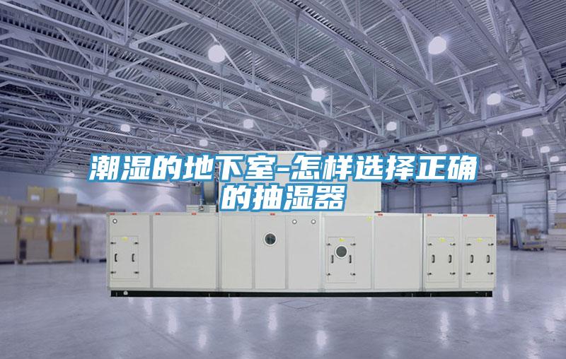 潮湿的地下室-怎样选择正确的抽湿器
