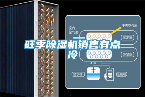 旺季除湿机销售有点冷