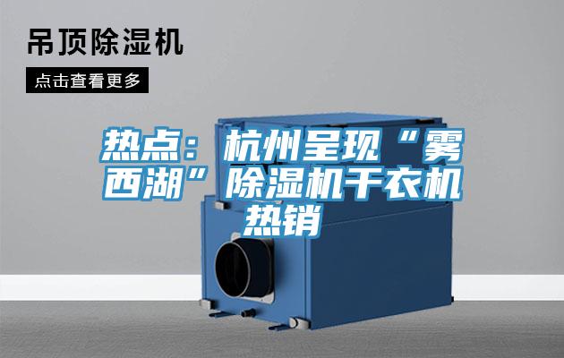 热点：杭州呈现“雾西湖”除湿机干衣机热销