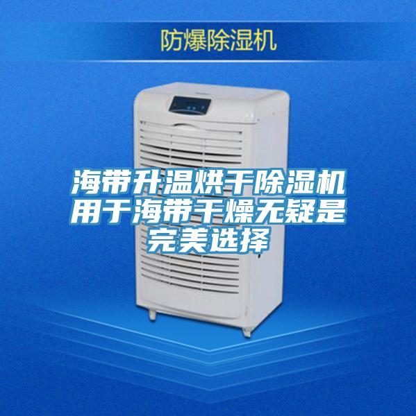 海带升温烘干除湿机用于海带干燥无疑是完美选择