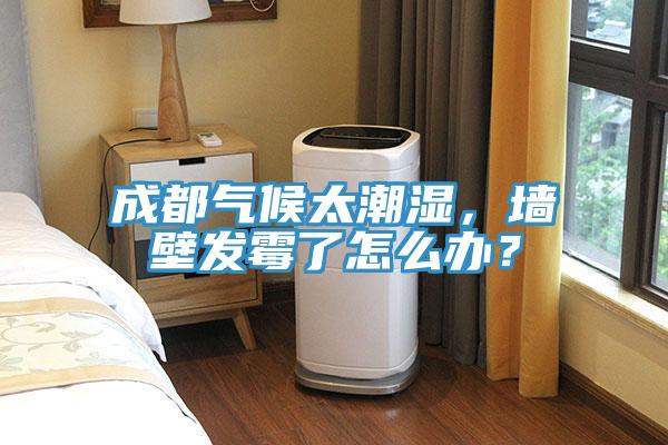 成都气候太潮湿，墙壁发霉了怎么办？