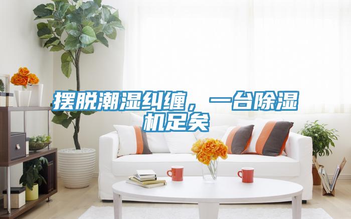 摆脱潮湿纠缠，一台除湿机足矣