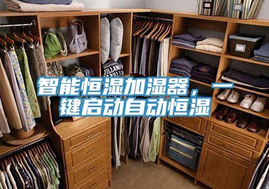 智能恒湿加湿器，一键启动自动恒湿