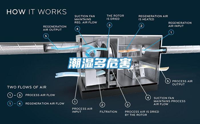 潮湿多危害
