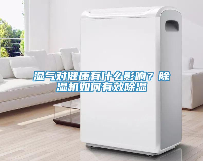 湿气对健康有什么影响？除湿机如何有效除湿