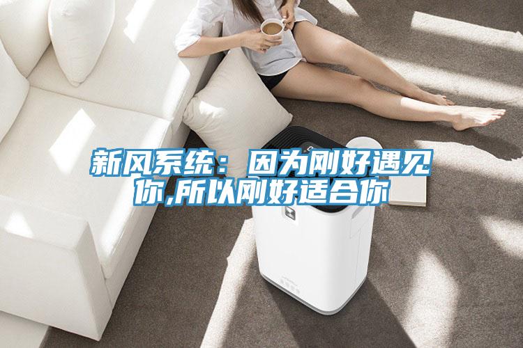 新风系统：因为刚好遇见你,所以刚好适合你