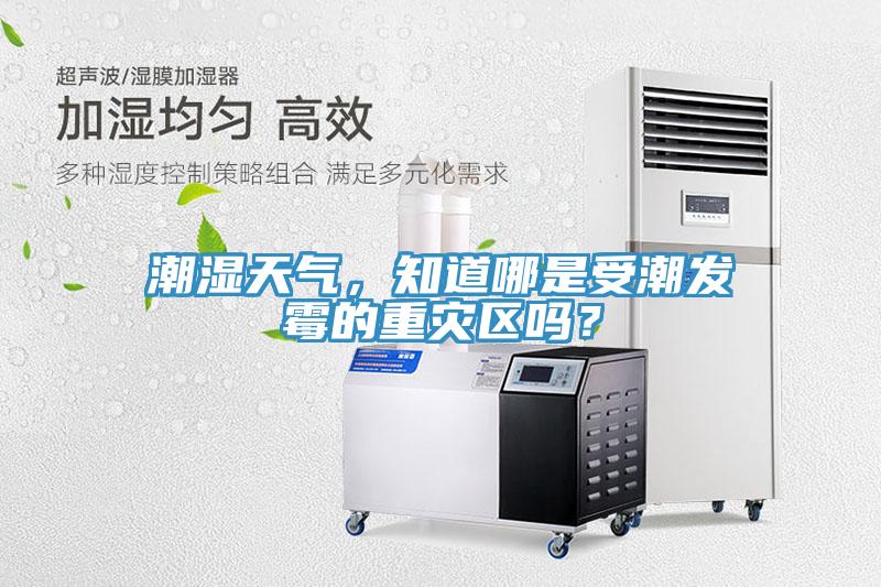 潮湿天气，知道哪是受潮发霉的重灾区吗？