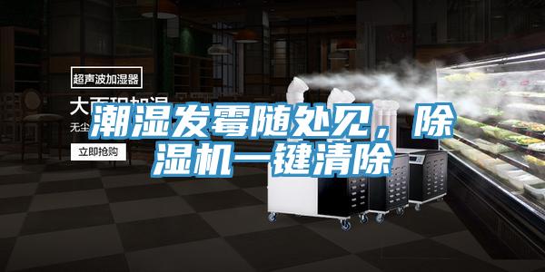 潮湿发霉随处见，除湿机一键清除
