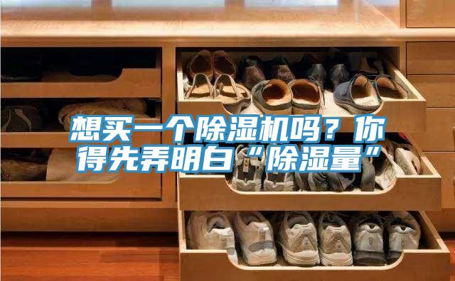 想买一个除湿机吗？你得先弄明白“除湿量”