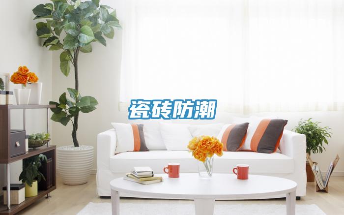瓷砖防潮