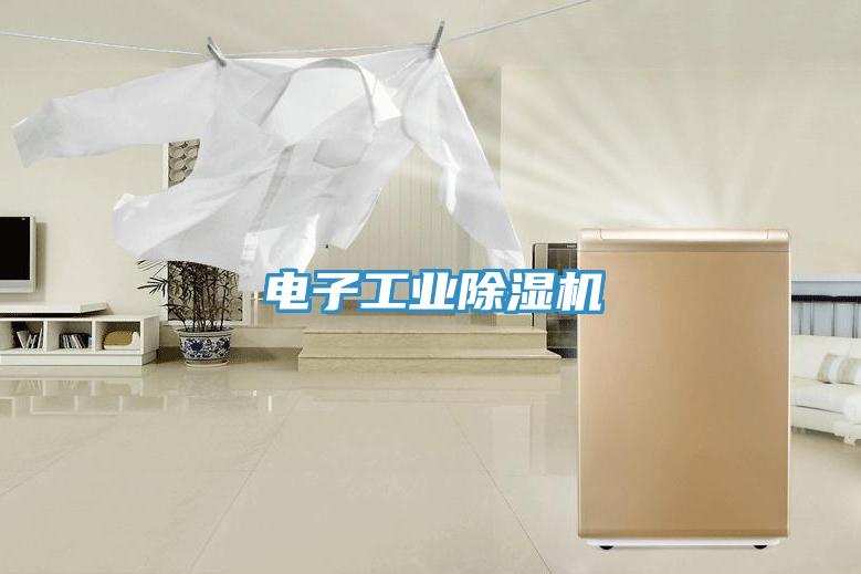 电子工业除湿机