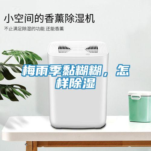 梅雨季黏糊糊，怎样除湿