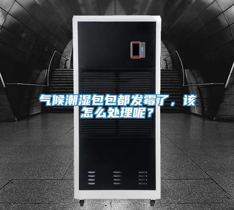 气候潮湿包包都发霉了，该怎么处理呢？