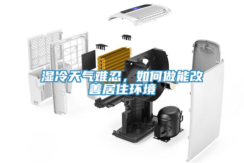 湿冷天气难忍，如何做能改善居住环境