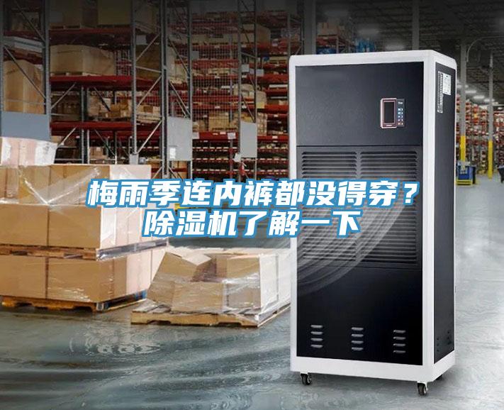 梅雨季连内裤都没得穿？除湿机了解一下