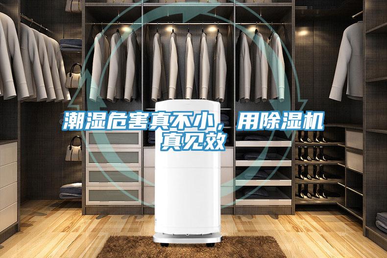 潮湿危害真不小，用除湿机真见效
