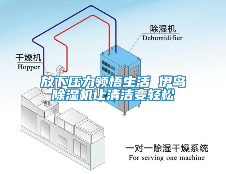 放下压力领悟生活 伊岛除湿机让清洁变轻松