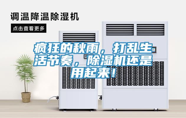 疯狂的秋雨，打乱生活节奏，除湿机还是用起来！