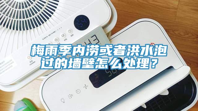 梅雨季内涝或者洪水泡过的墙壁怎么处理？