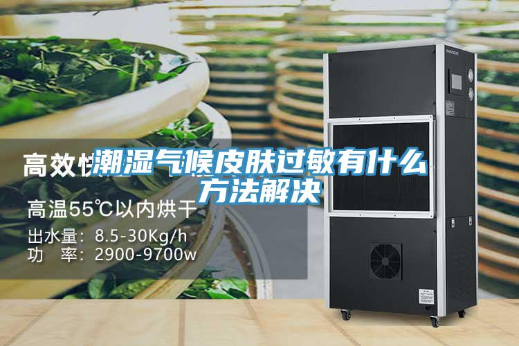 潮湿气候皮肤过敏有什么方法解决