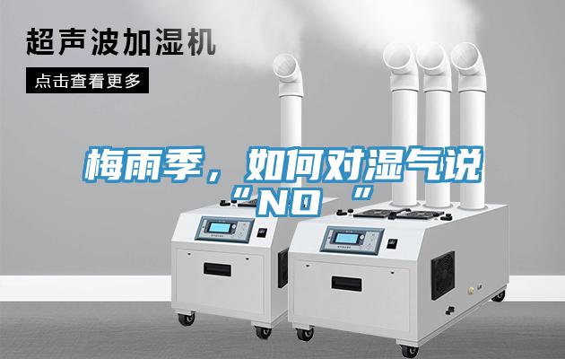 梅雨季，如何对湿气说“NO ”