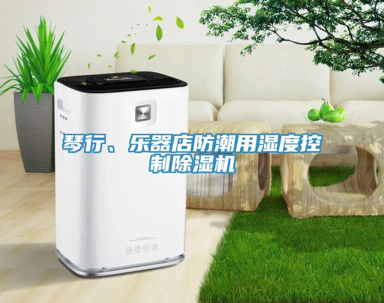 琴行、乐器店防潮用湿度控制除湿机