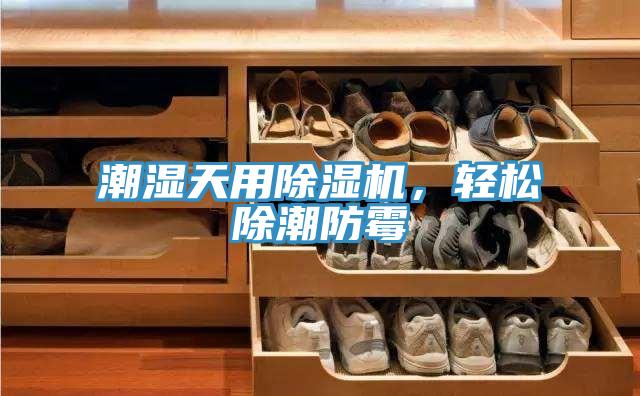 潮湿天用除湿机，轻松除潮防霉