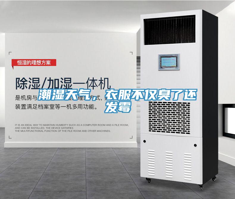 潮湿天气，衣服不仅臭了还发霉