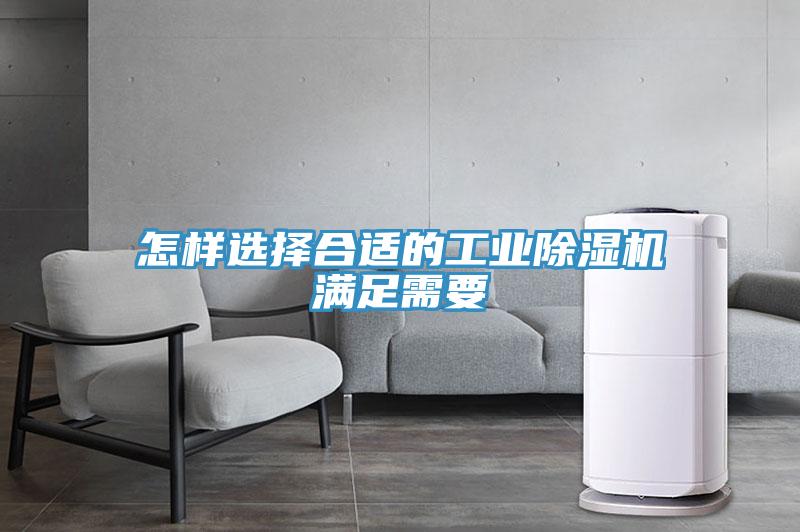 怎样选择合适的工业除湿机满足需要